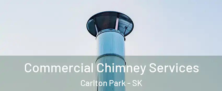  Commercial Chimney Services Carlton Park - SK
