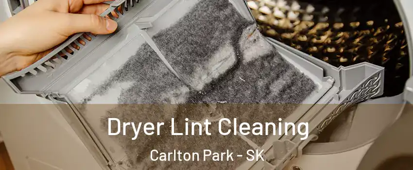  Dryer Lint Cleaning Carlton Park - SK