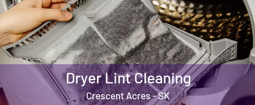  Dryer Lint Cleaning Crescent Acres - SK