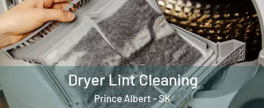  Dryer Lint Cleaning Prince Albert - SK