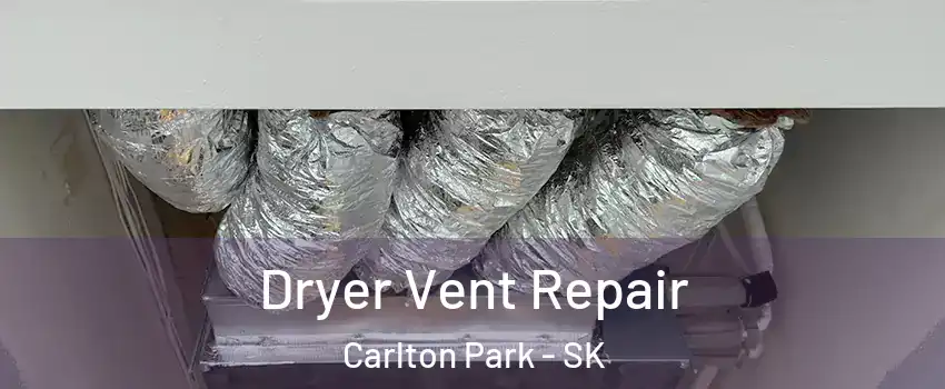 Dryer Vent Repair Carlton Park - SK