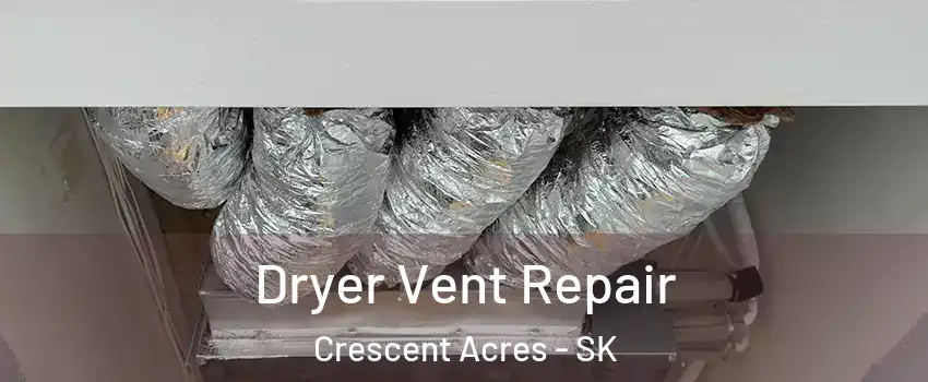  Dryer Vent Repair Crescent Acres - SK