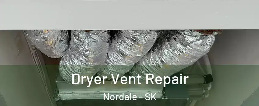  Dryer Vent Repair Nordale - SK