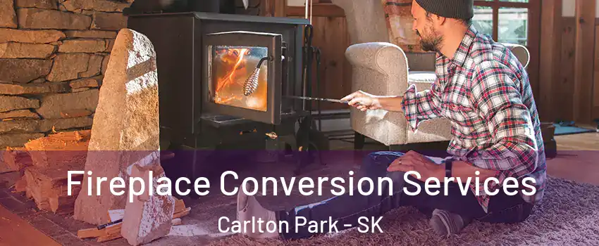  Fireplace Conversion Services Carlton Park - SK