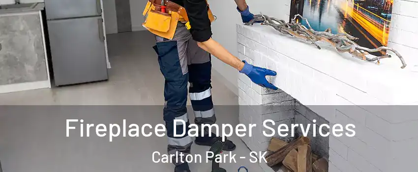 Fireplace Damper Services Carlton Park - SK