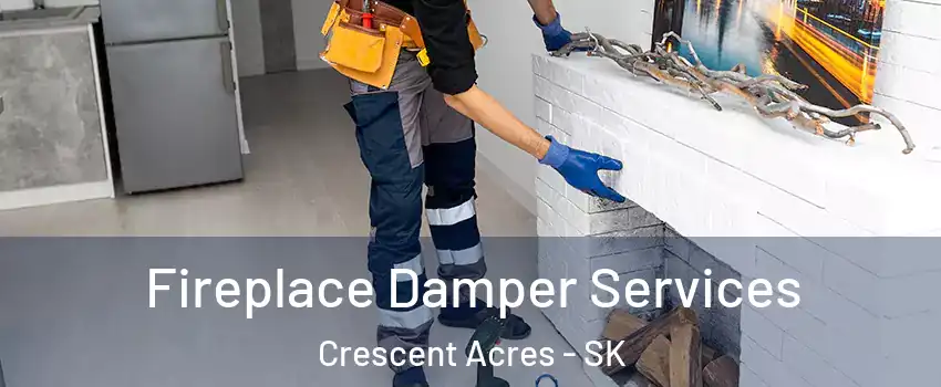 Fireplace Damper Services Crescent Acres - SK