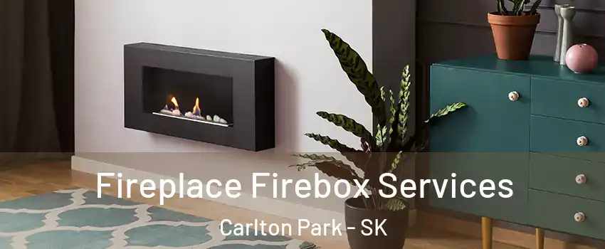  Fireplace Firebox Services Carlton Park - SK