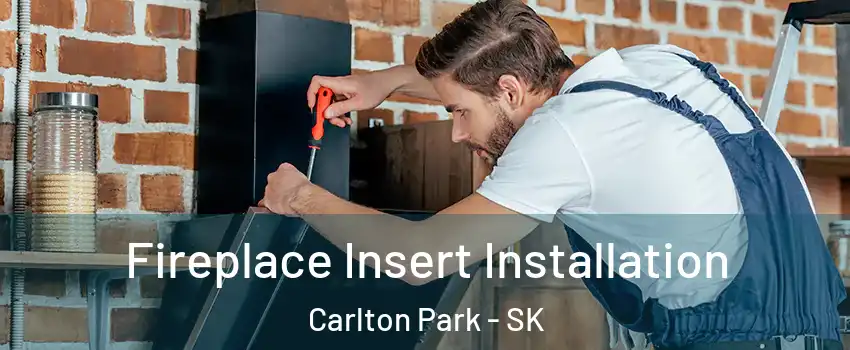 Fireplace Insert Installation Carlton Park - SK