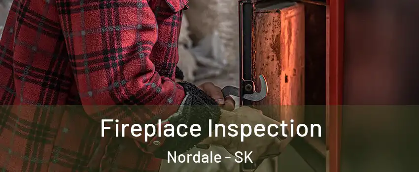  Fireplace Inspection Nordale - SK