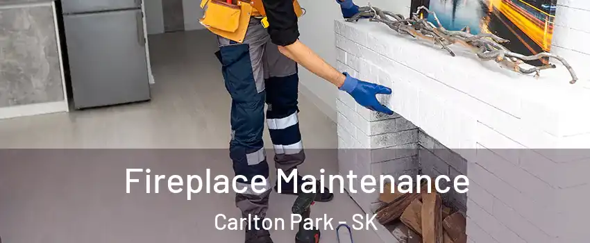  Fireplace Maintenance Carlton Park - SK