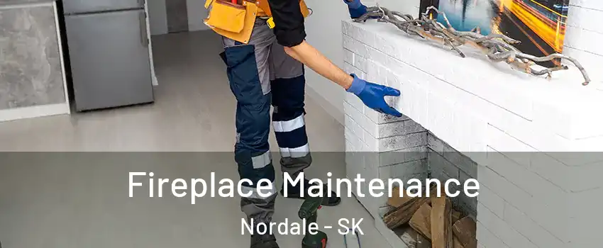  Fireplace Maintenance Nordale - SK