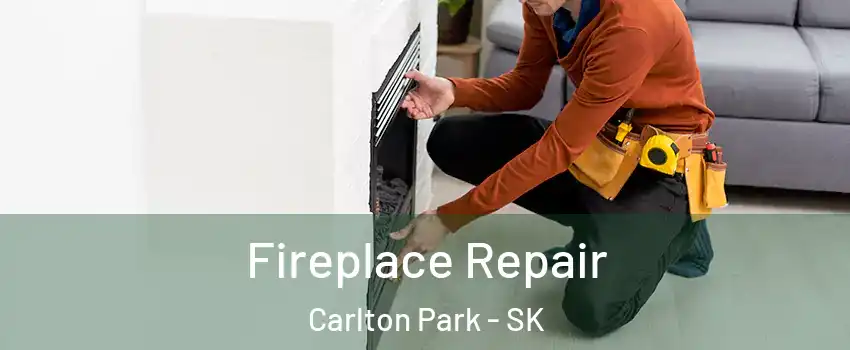  Fireplace Repair Carlton Park - SK