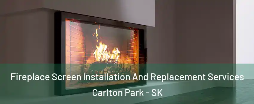 Fireplace Screen Installation And Replacement Services Carlton Park - SK