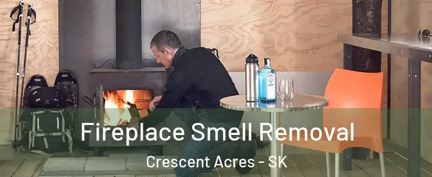  Fireplace Smell Removal Crescent Acres - SK