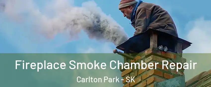  Fireplace Smoke Chamber Repair Carlton Park - SK
