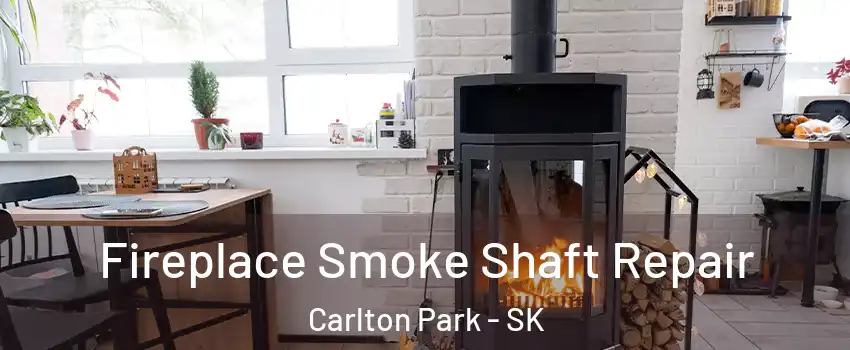  Fireplace Smoke Shaft Repair Carlton Park - SK