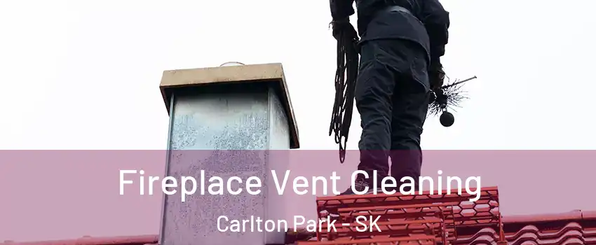  Fireplace Vent Cleaning Carlton Park - SK