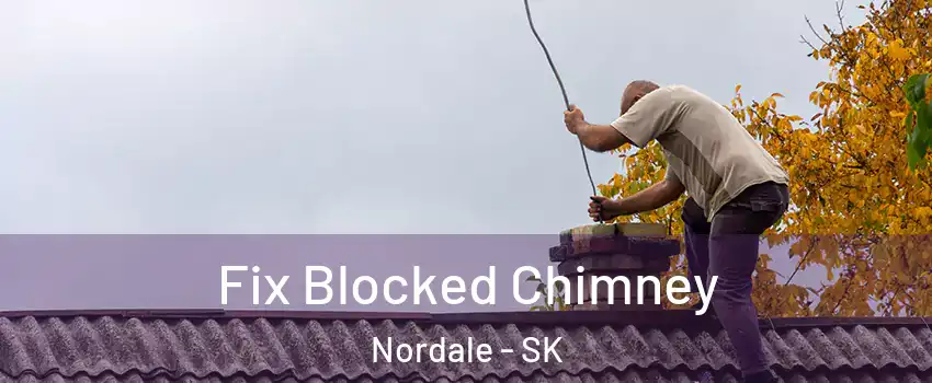  Fix Blocked Chimney Nordale - SK