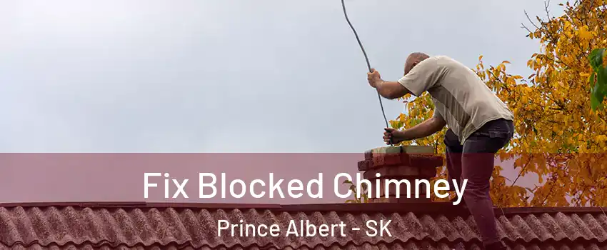  Fix Blocked Chimney Prince Albert - SK