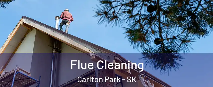  Flue Cleaning Carlton Park - SK