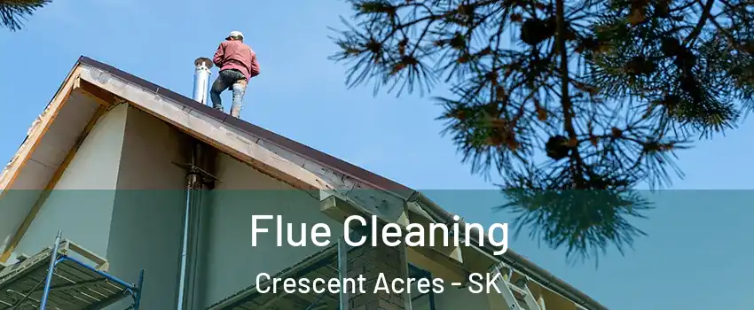  Flue Cleaning Crescent Acres - SK