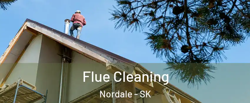  Flue Cleaning Nordale - SK
