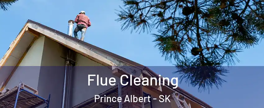  Flue Cleaning Prince Albert - SK