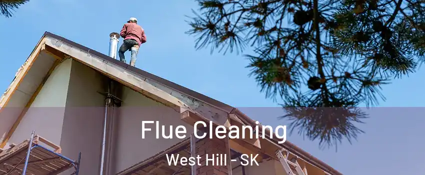  Flue Cleaning West Hill - SK