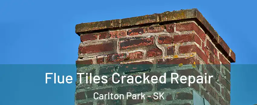  Flue Tiles Cracked Repair Carlton Park - SK
