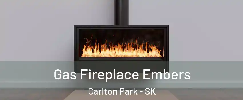  Gas Fireplace Embers Carlton Park - SK