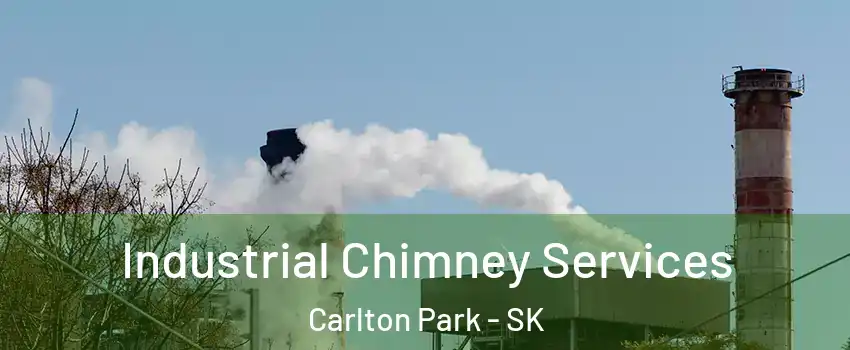 Industrial Chimney Services Carlton Park - SK