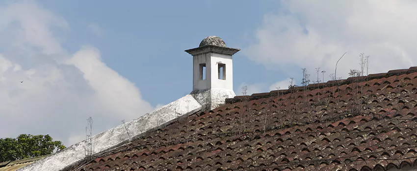 Wind-Resistant Chimney Caps Installation and Repair Services in Prince Albert, Saskatchewan