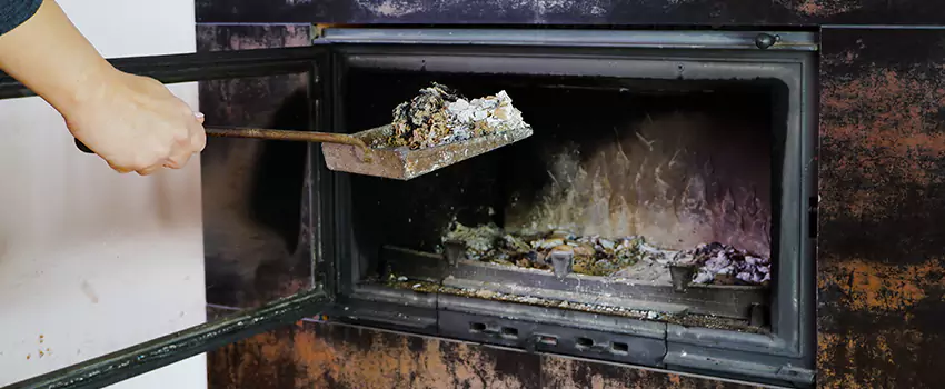 Wood Burning Chimney Odor Removal in Prince Albert, Saskatchewan