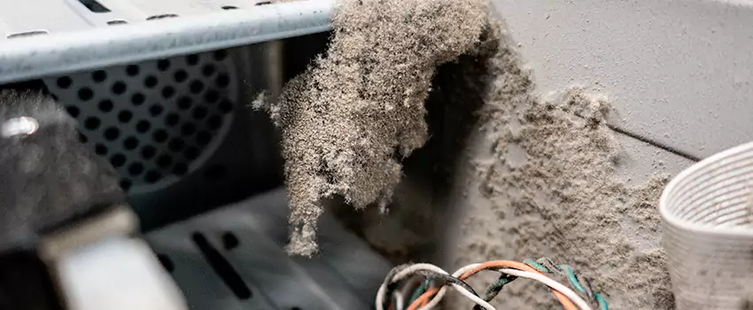 Clogged Dryer Vent Lint Cleaning in Prince Albert, Saskatchewan
