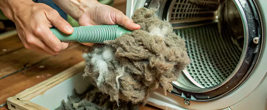 Best Dryer Lint Removal Company in Prince Albert, Saskatchewan