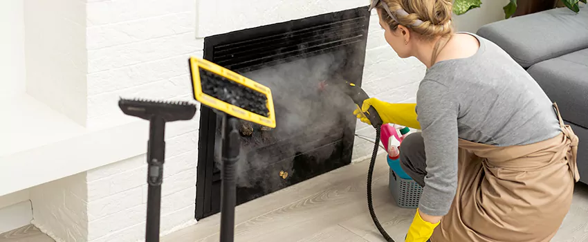 Fireplace Doors Cleaning in Prince Albert, Saskatchewan