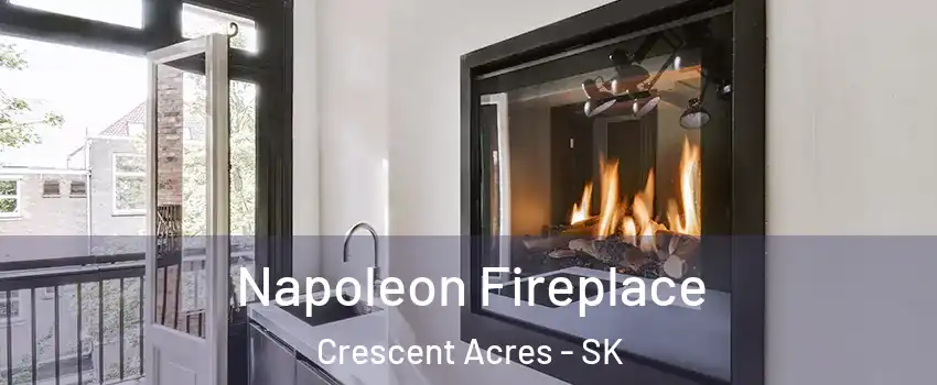 Napoleon Fireplace Crescent Acres - SK