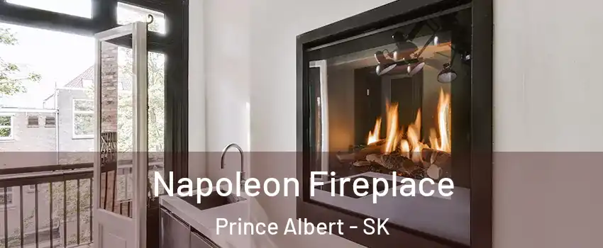  Napoleon Fireplace Prince Albert - SK