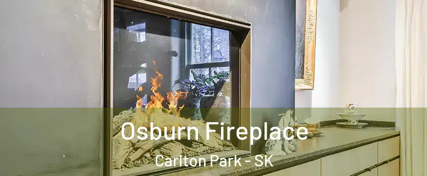  Osburn Fireplace Carlton Park - SK