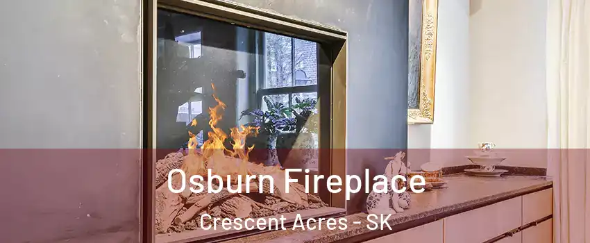  Osburn Fireplace Crescent Acres - SK