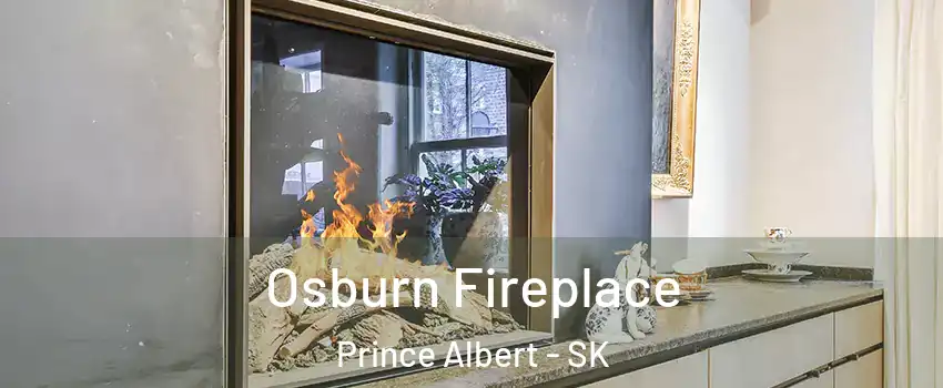  Osburn Fireplace Prince Albert - SK