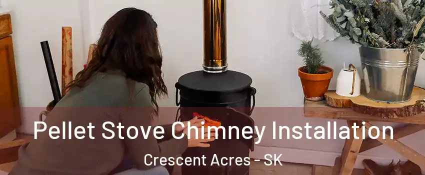  Pellet Stove Chimney Installation Crescent Acres - SK