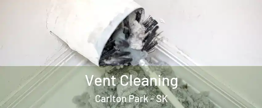  Vent Cleaning Carlton Park - SK