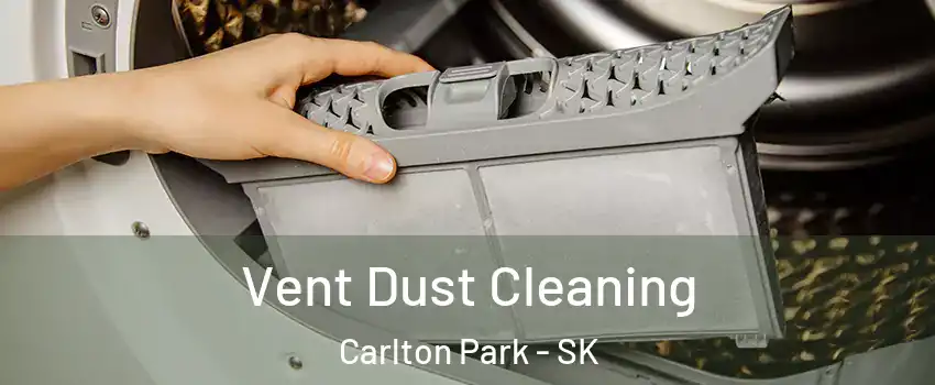  Vent Dust Cleaning Carlton Park - SK